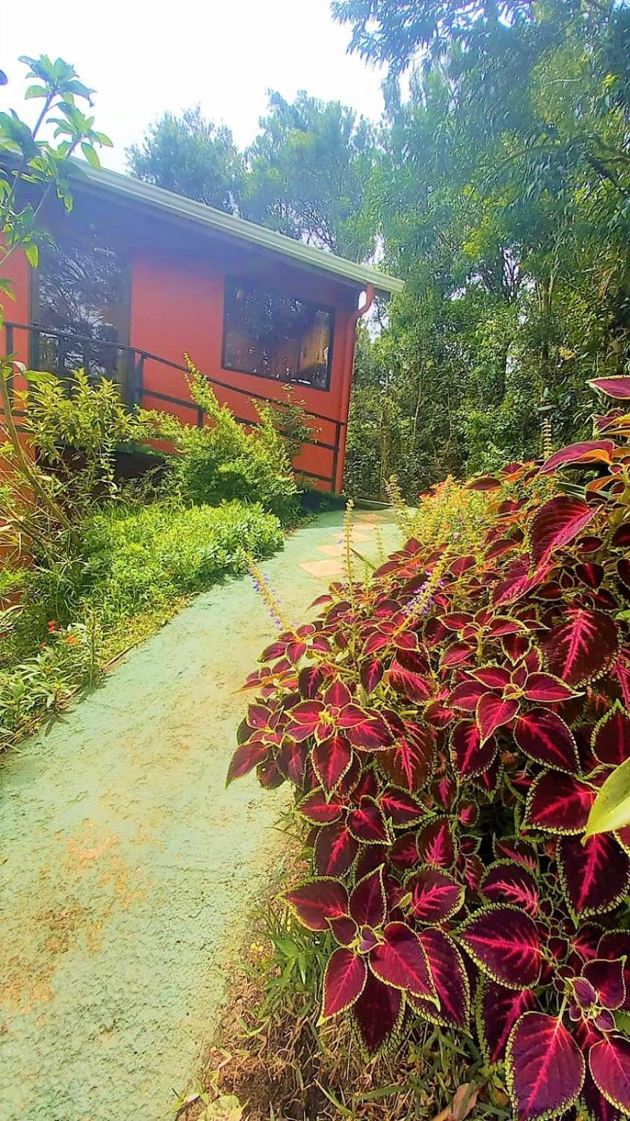 Casa De Montana Tica Linda Villa Monteverde Ngoại thất bức ảnh