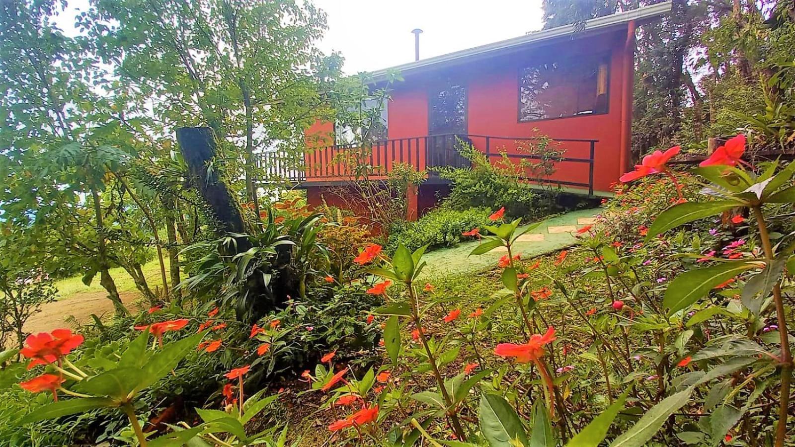 Casa De Montana Tica Linda Villa Monteverde Ngoại thất bức ảnh