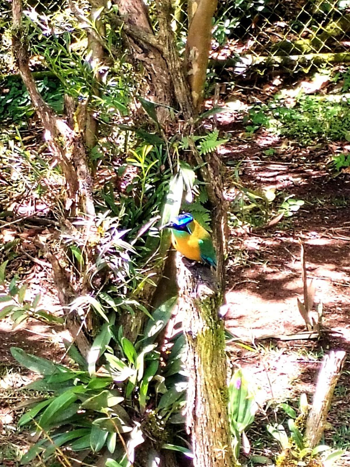 Casa De Montana Tica Linda Villa Monteverde Ngoại thất bức ảnh